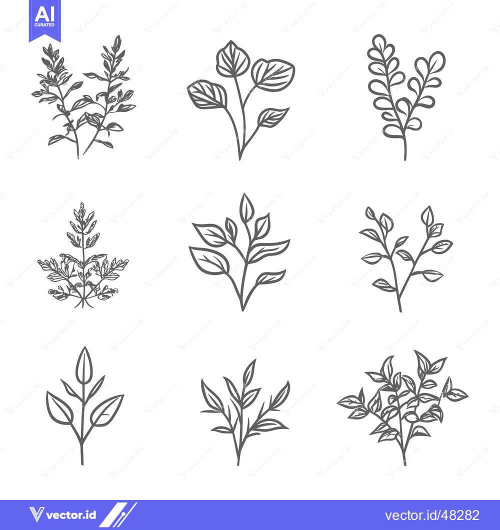 Premium Vector dari Simple botanical illustrations featuring leaves and various plant spri