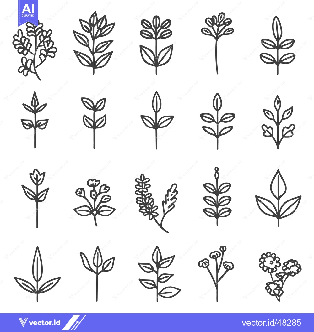Premium Vector dari Various simple black line drawings of different plant illustrations