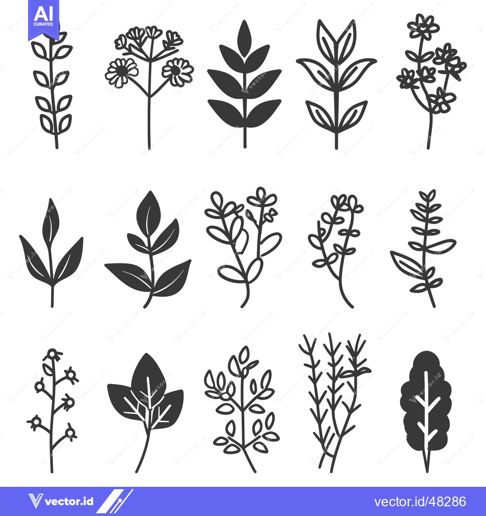 Premium Vector dari Simple illustrations featuring different plant leaves and floral eleme