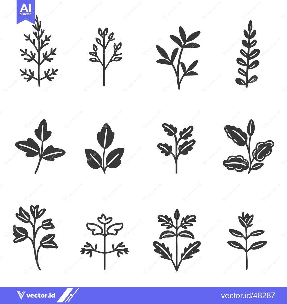 Premium Vector of Black and white vector drawings of varied leaf specimens displayed