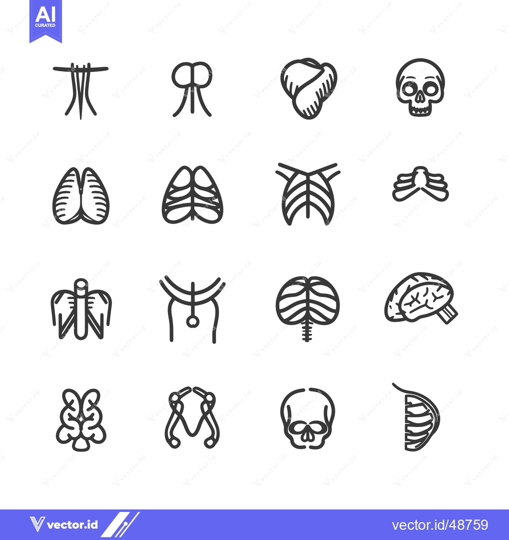 Premium Vector of Human Anatomical Outline Icons