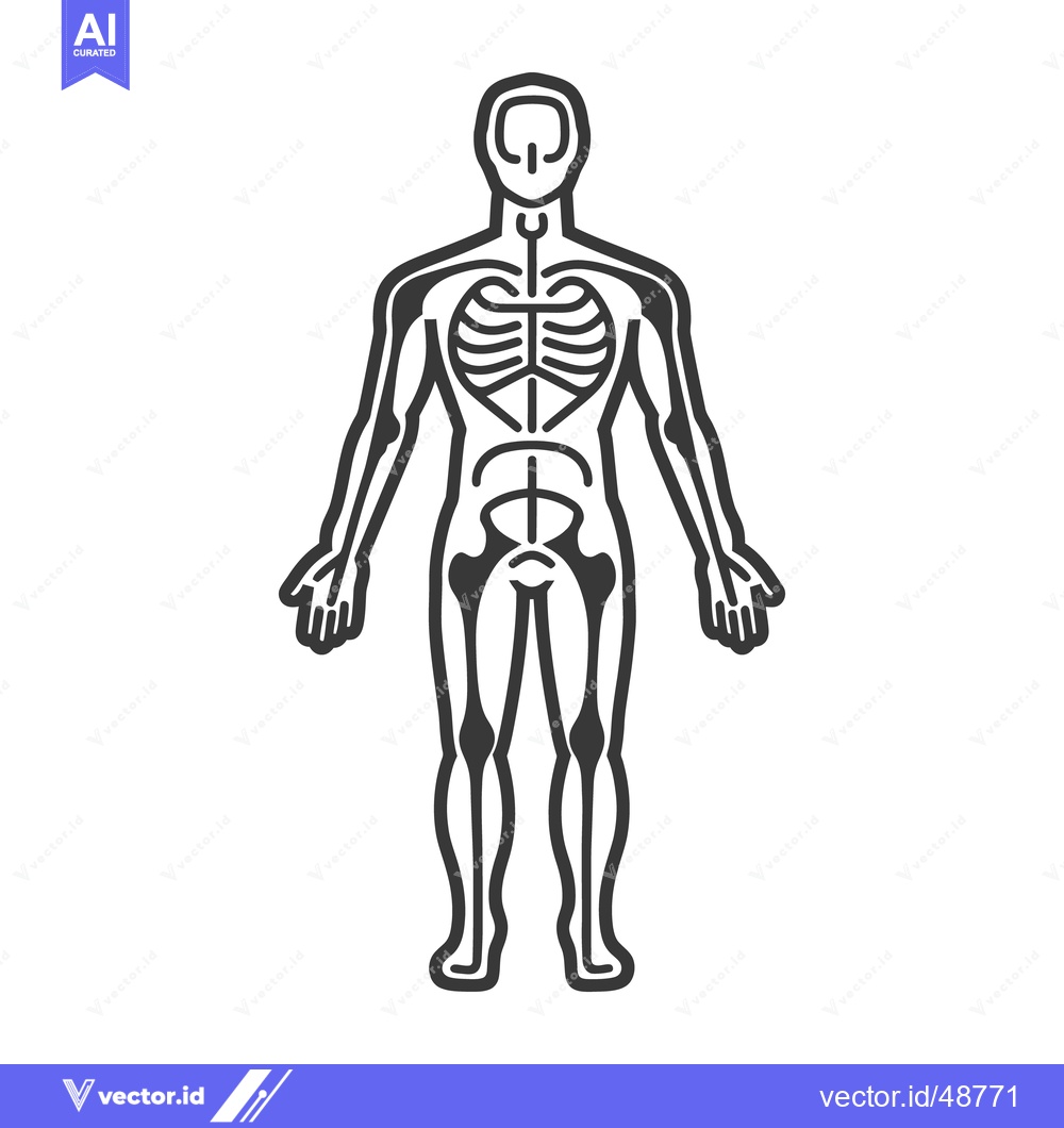 Premium Vector of A black and white illustration depicting a human skeletal structure