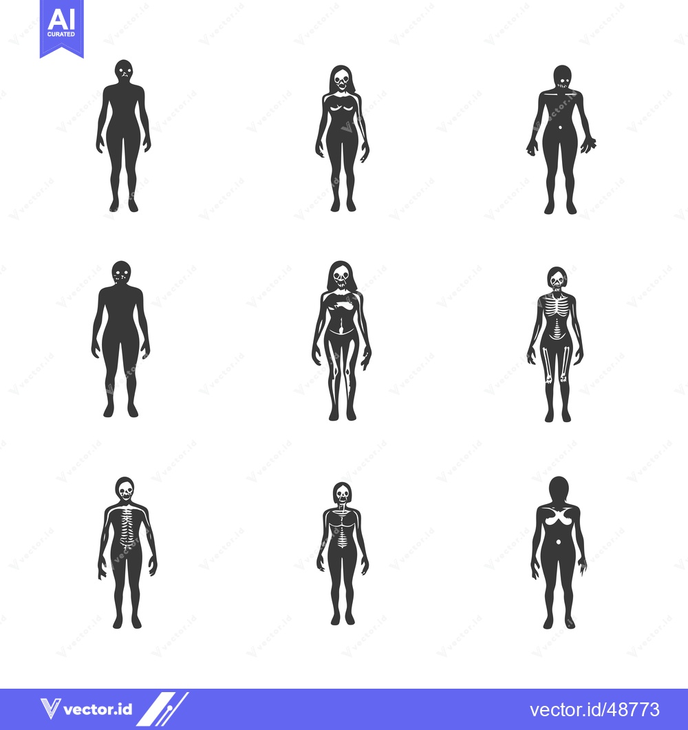 Premium Vector dari Human Body Outline with Skeleton and Skull