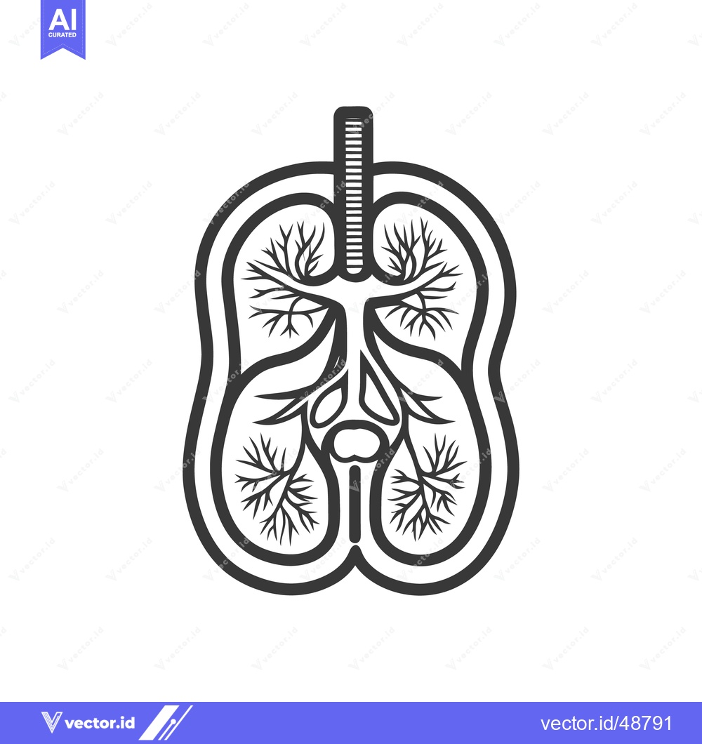 Premium Vector dari A stylized anatomical illustration of the human respiratory system