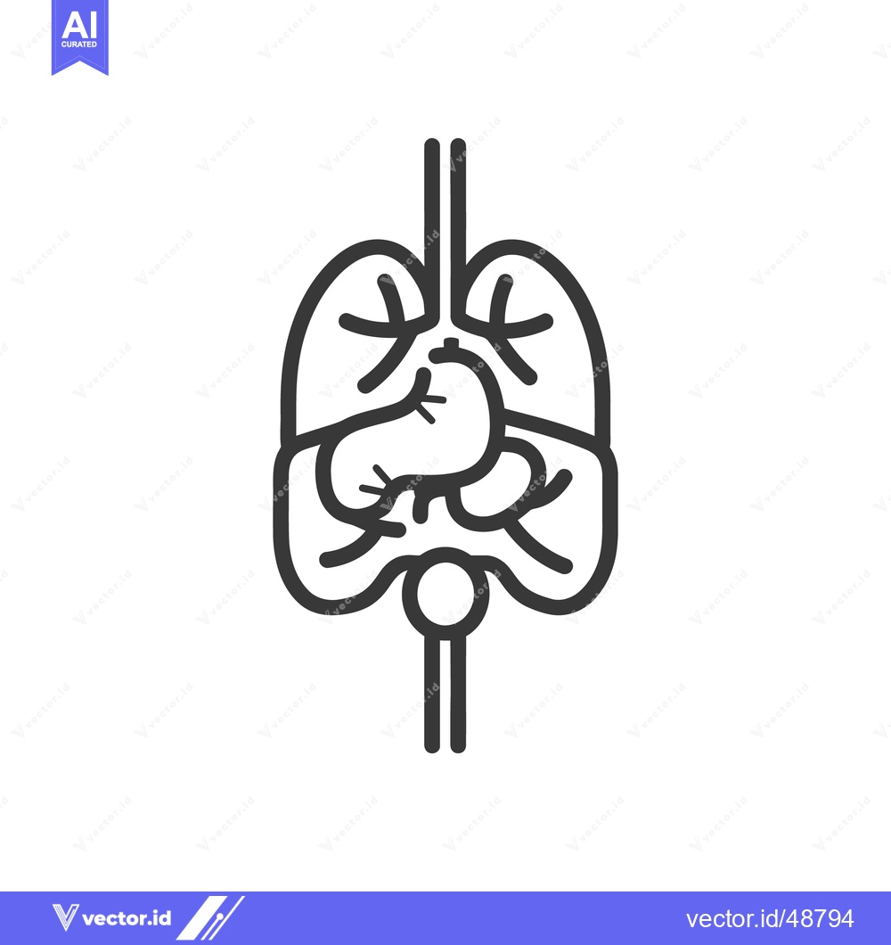 Premium Vector dari Human internal organs illustrated with simple black line art