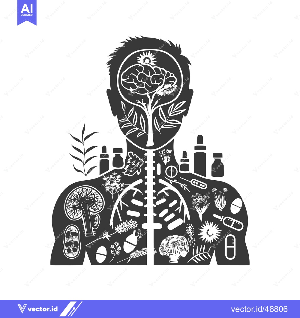 Premium Vector of Human Silhouette with Plants and Pills Representing Holistic Healthcar