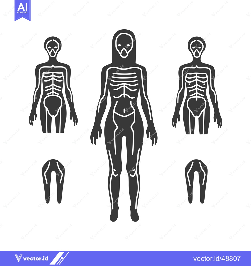 Premium Vector dari Human Silhouette with Visible Skeleton and Muscle Structure