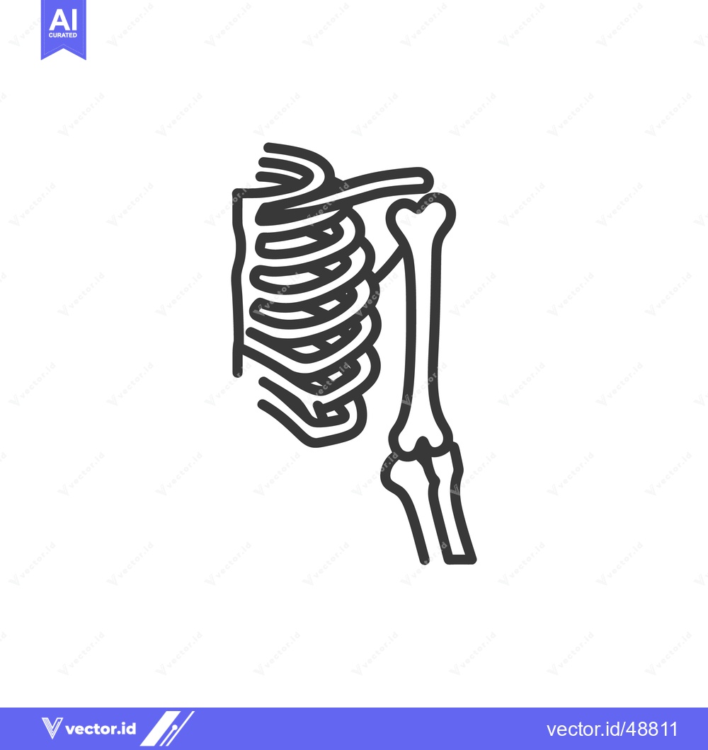 Premium Vector of Ribcage and Humerus Bone Outline: Anatomical Vector Illustration on Wh