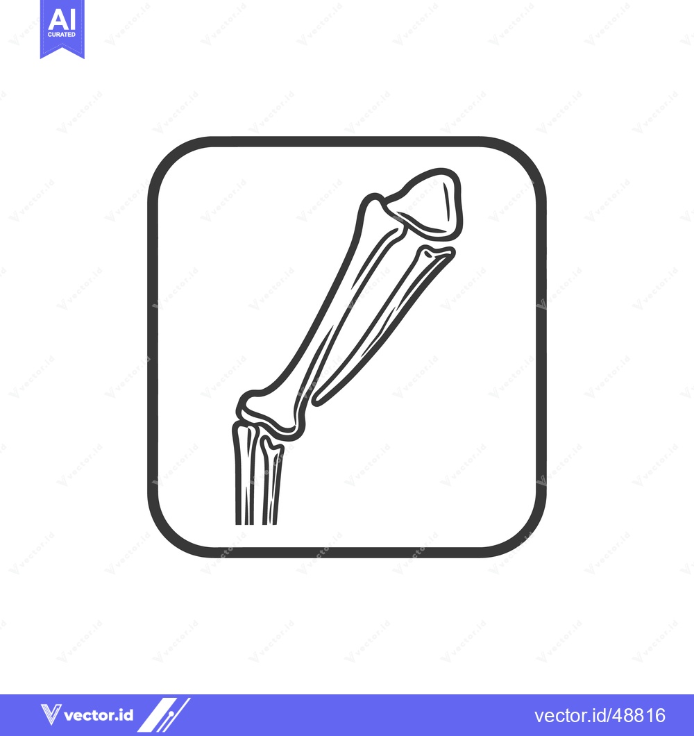 Premium Vector dari Stylized Bone Icon: Minimalist Anatomy Illustration in Rounded Square