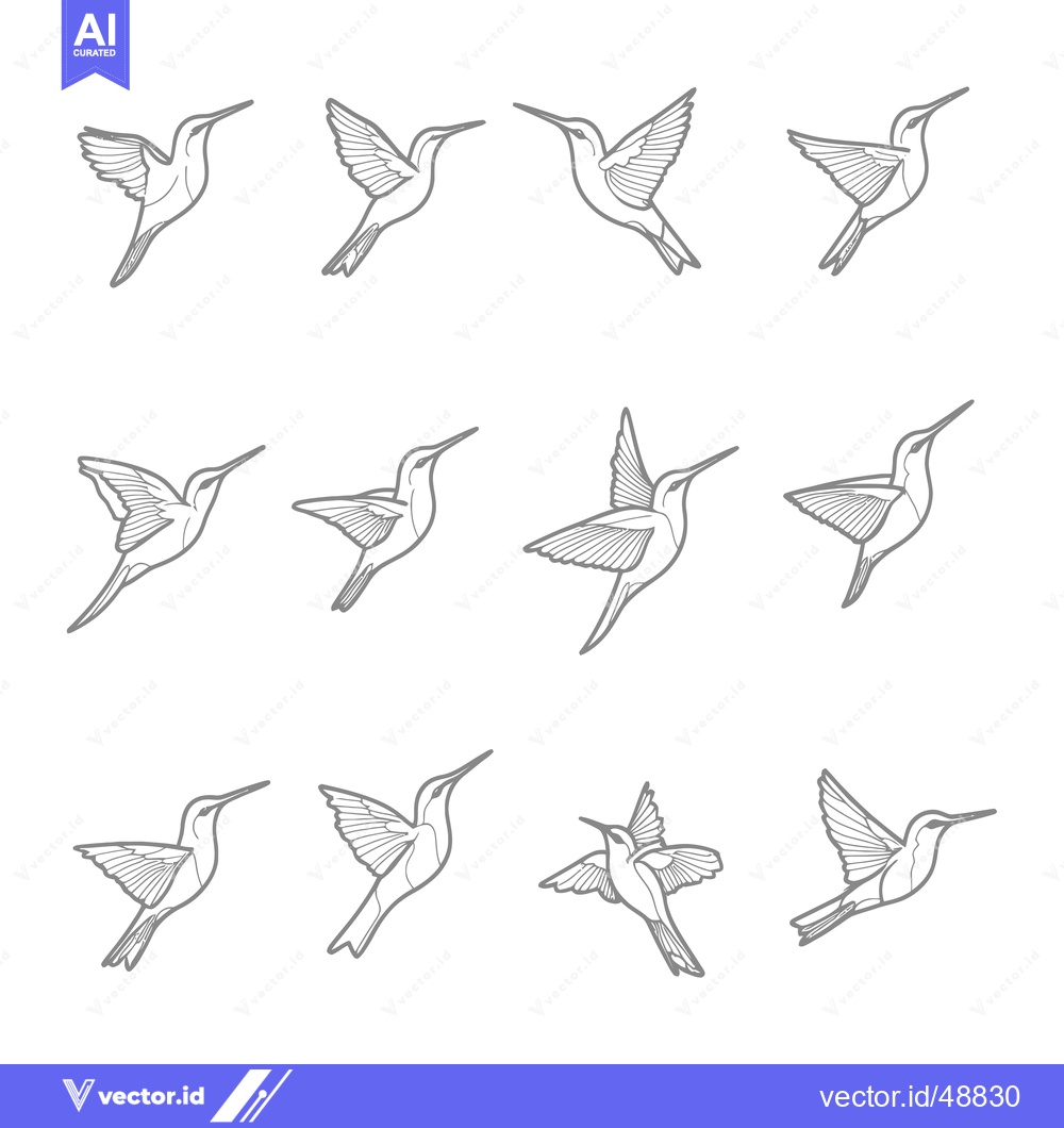 Premium Vector dari Hummingbird Animation Frames in Flight