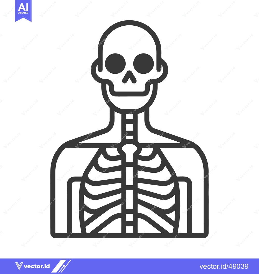 Premium Vector of A simple black and white illustration of a human skeleton