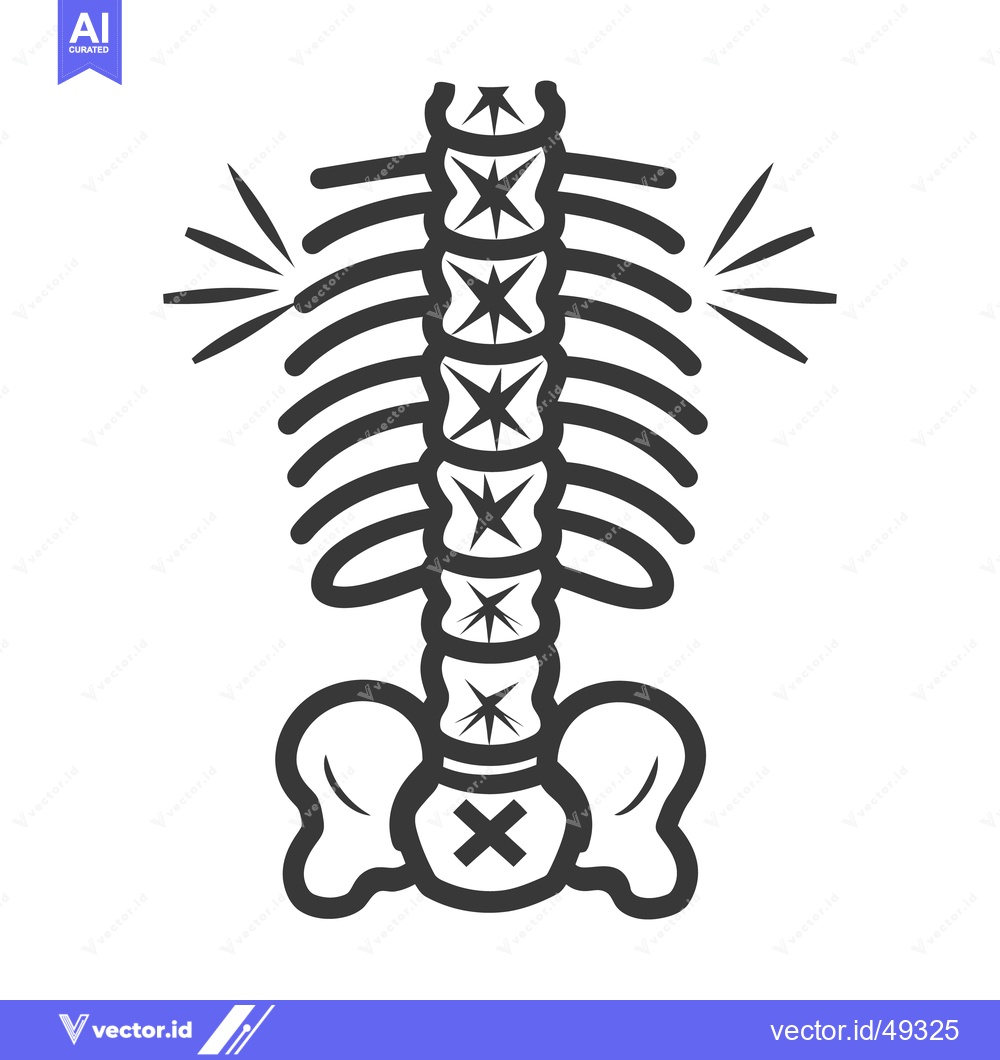 Premium Vector of A stylized skeletal torso shows pain and issues depicted