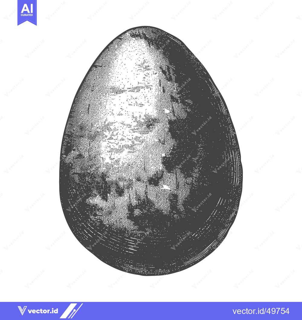 Premium Vector of A Detailed Engraving of a Single Birds Egg