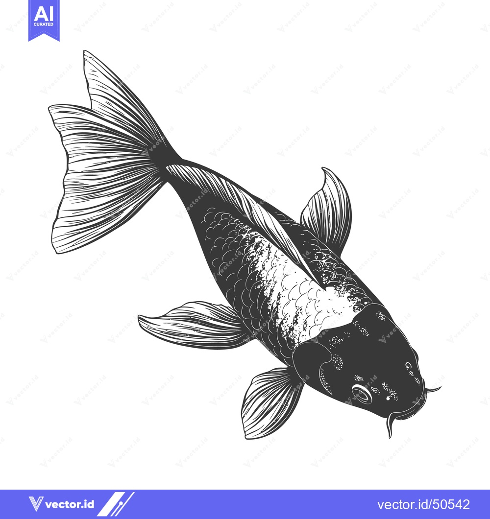 Premium Vector dari A detailed ink illustration of a koi fish swimming gracefully