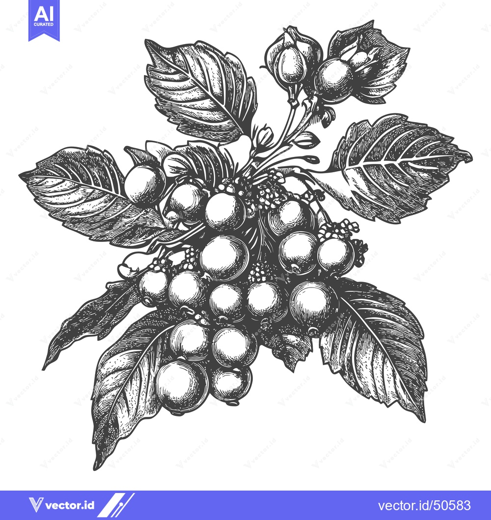 Premium Vector of Hand Drawn Illustration Of A Branch Of Berries And Leaves