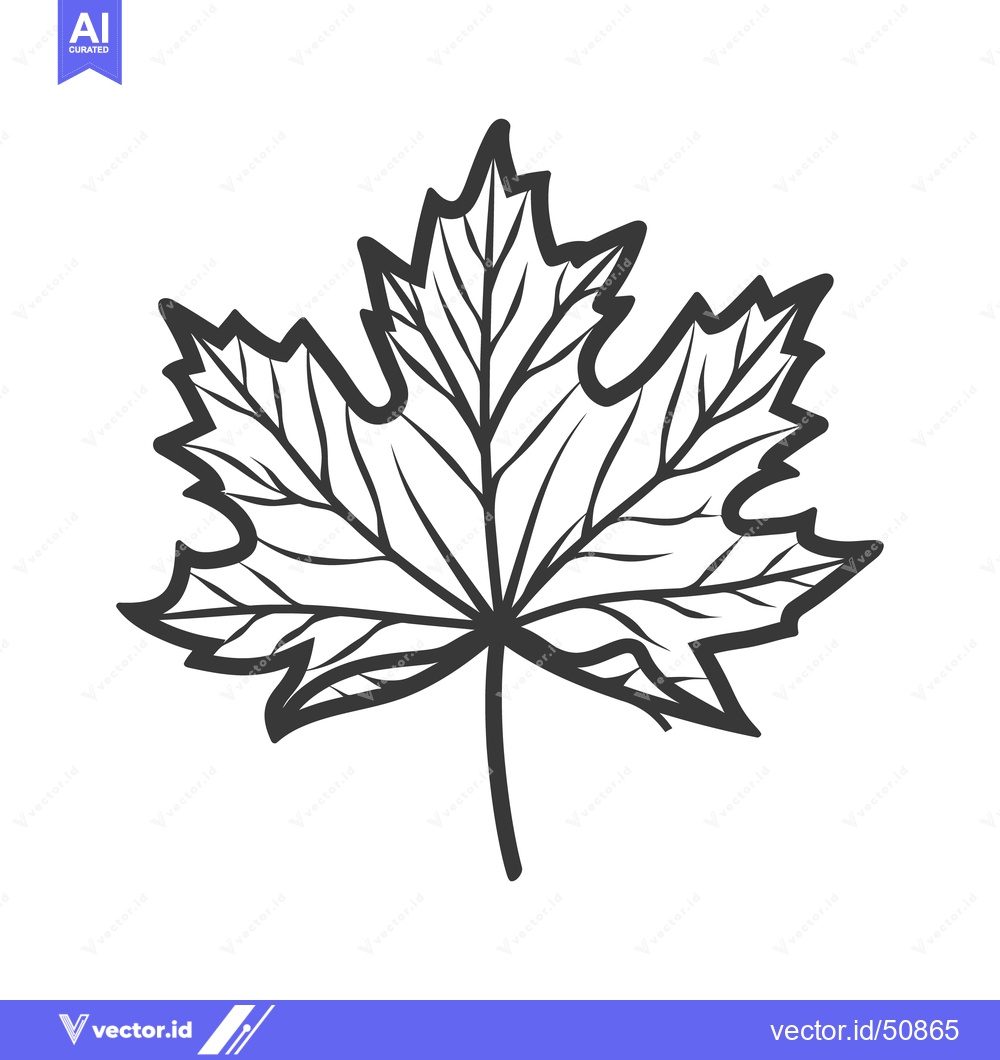 Premium Vector of A stylized outline depiction of a single maple leaf