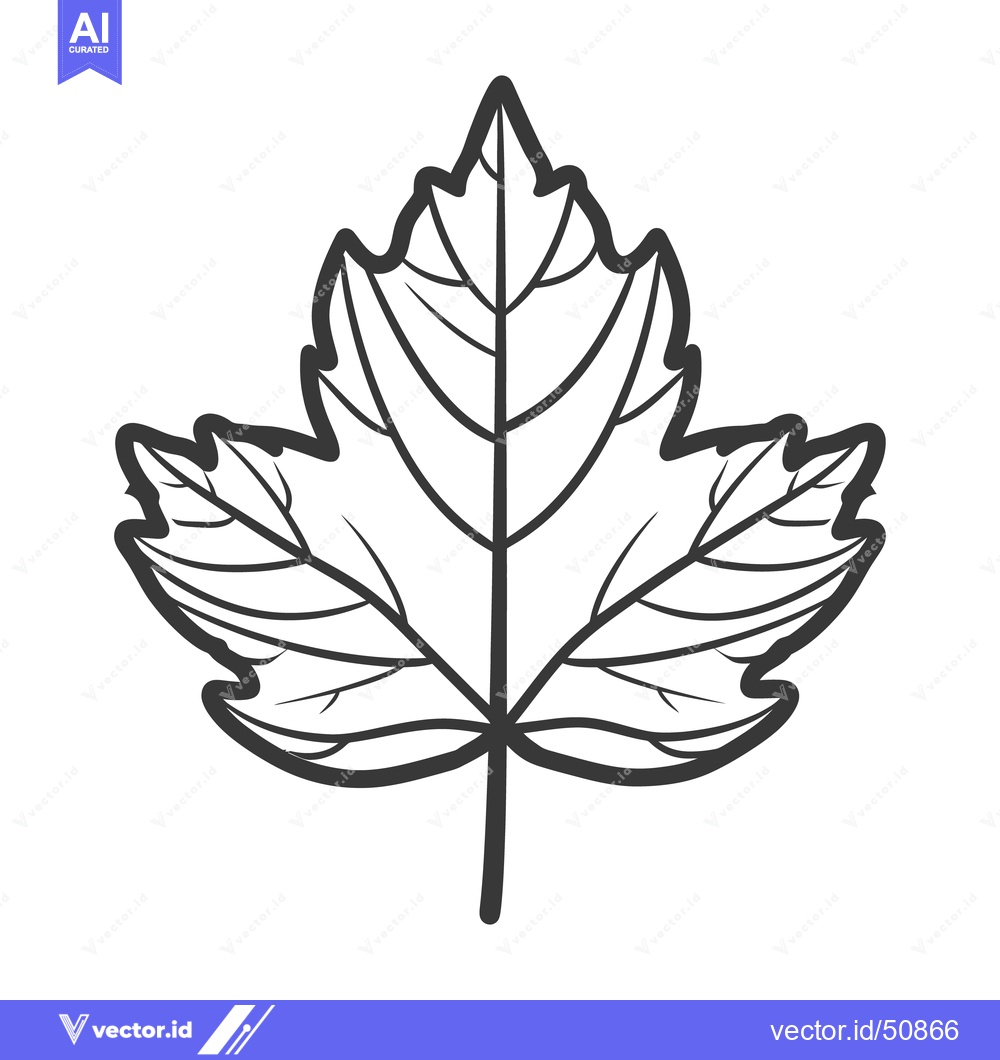 Premium Vector dari A detailed drawing of a single outlined leaf shape