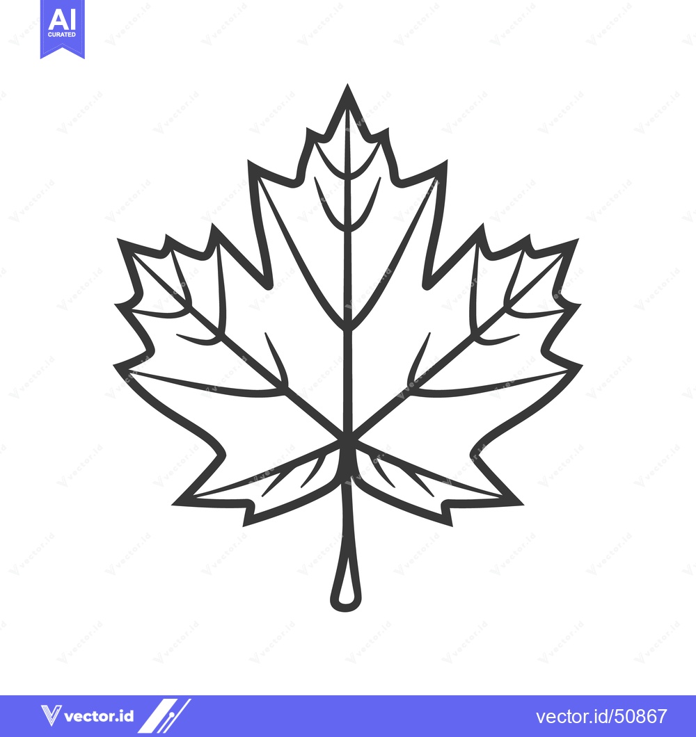 Premium Vector of A single black and white stylized maple leaf image