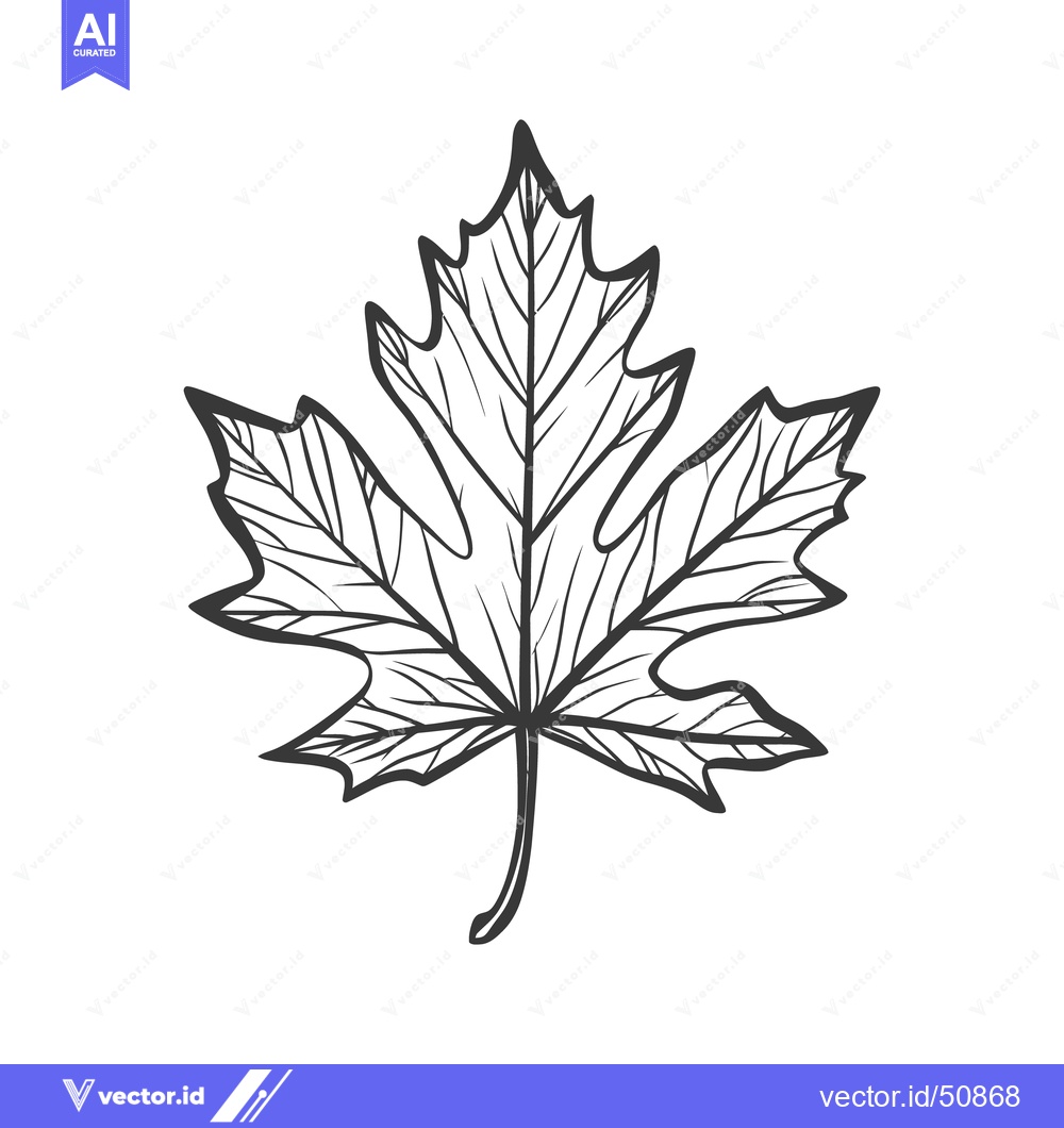Premium Vector dari A detailed illustration of a single autumn leaf on white background