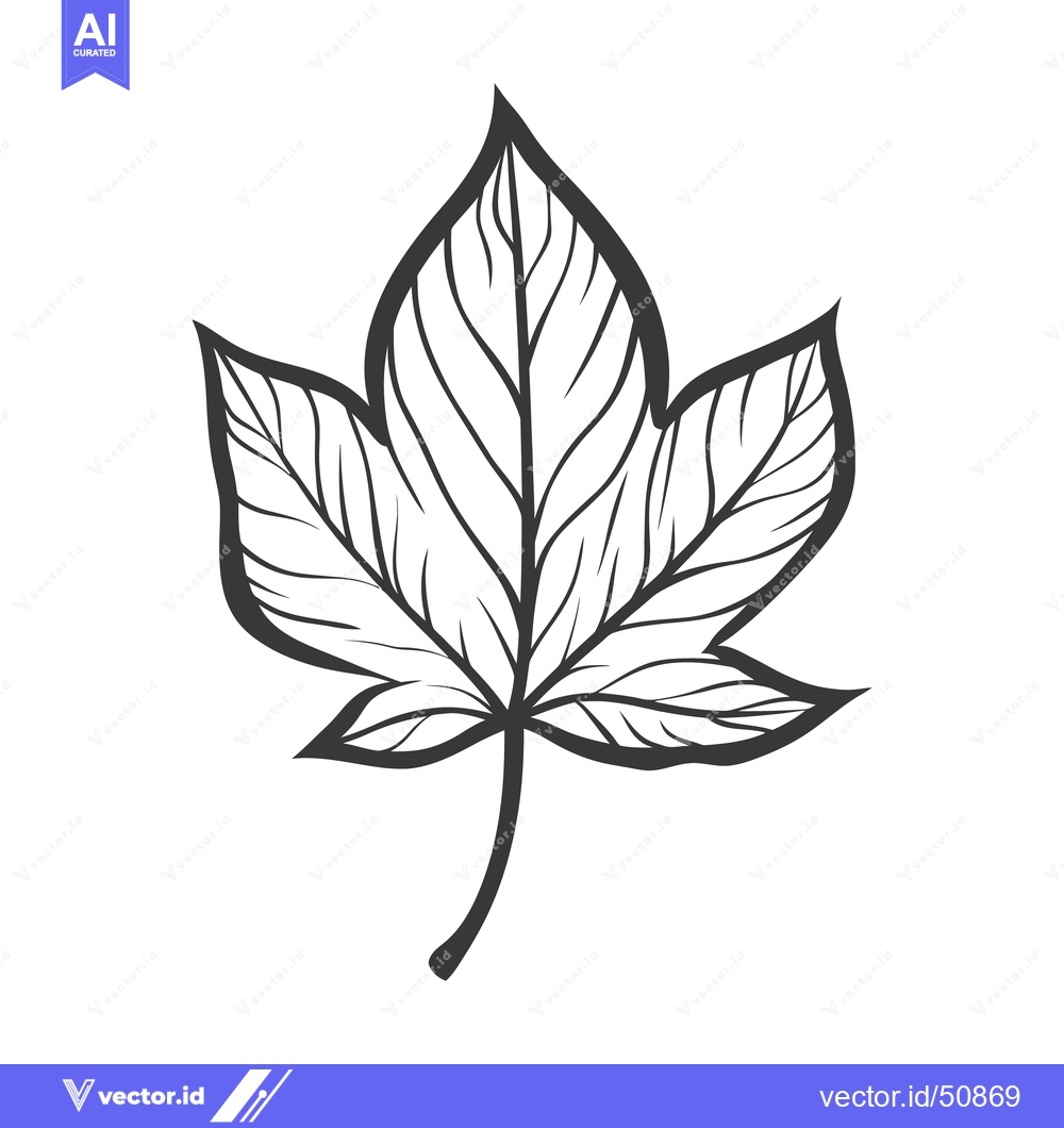Premium Vector dari A detailed black and white line drawing of a leaf