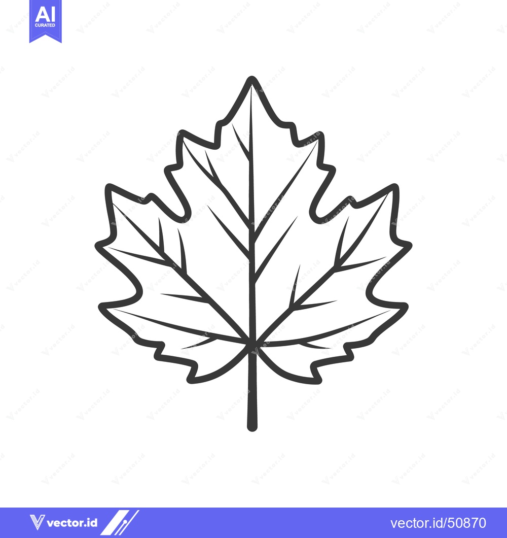 Premium Vector dari A detailed outline illustration of a simple maple leaf image