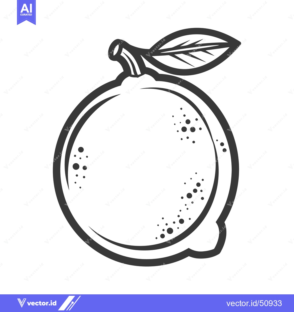 Premium Vector of A simple black and white illustration of a citrus fruit