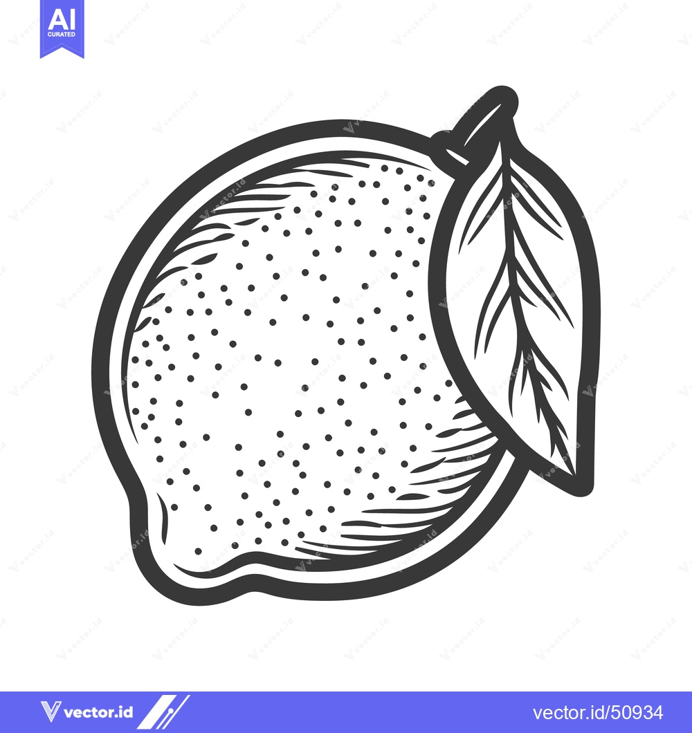 Premium Vector dari A black and white illustration depicts a lemon with a leaf