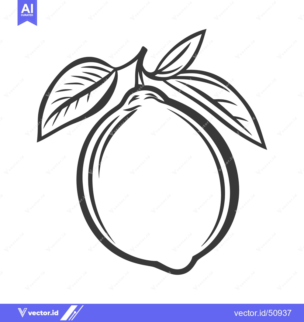 Premium Vector dari A single lemon with green leaves on a white background
