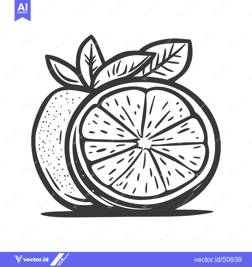 Premium Vector of Black and white artistic illustration depicting citrus fruit and leave