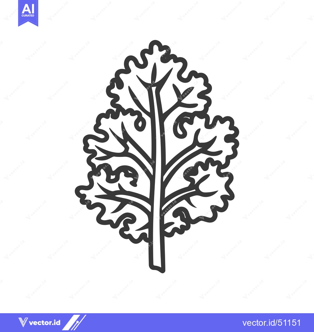 Premium Vector dari Line art drawing of a single sprig of cilantro or parsley