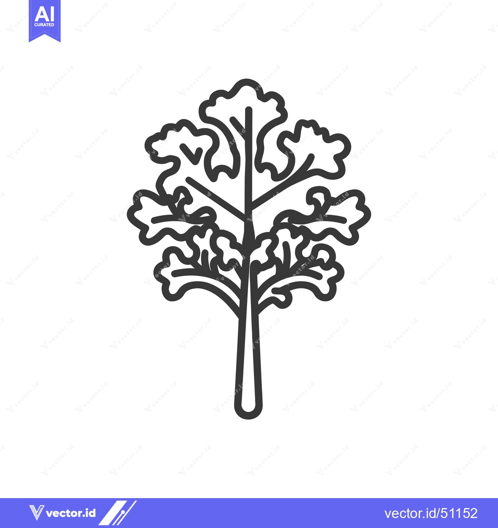 Premium Vector of Line art drawing of a single stalk of kale