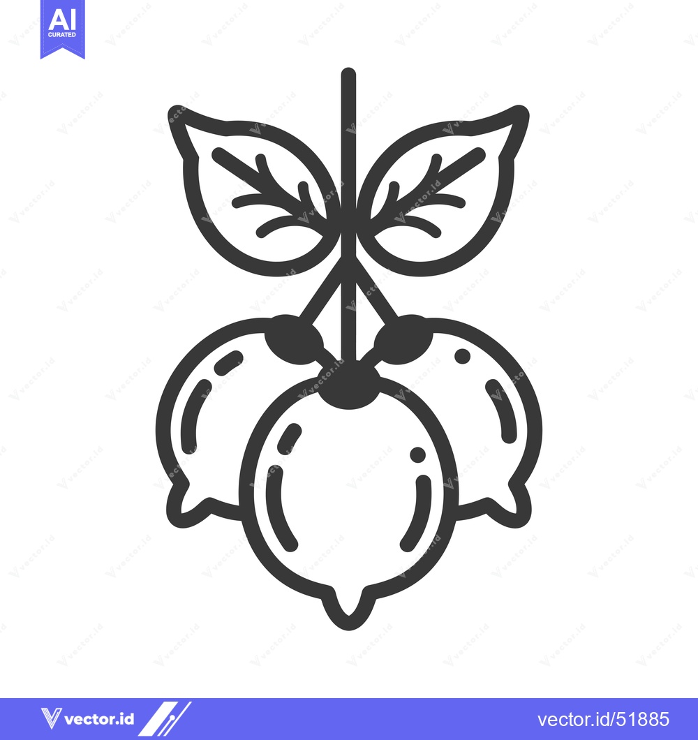 Premium Vector of Line Art Illustration of a Cluster of Three Round Fruits with Stem and
