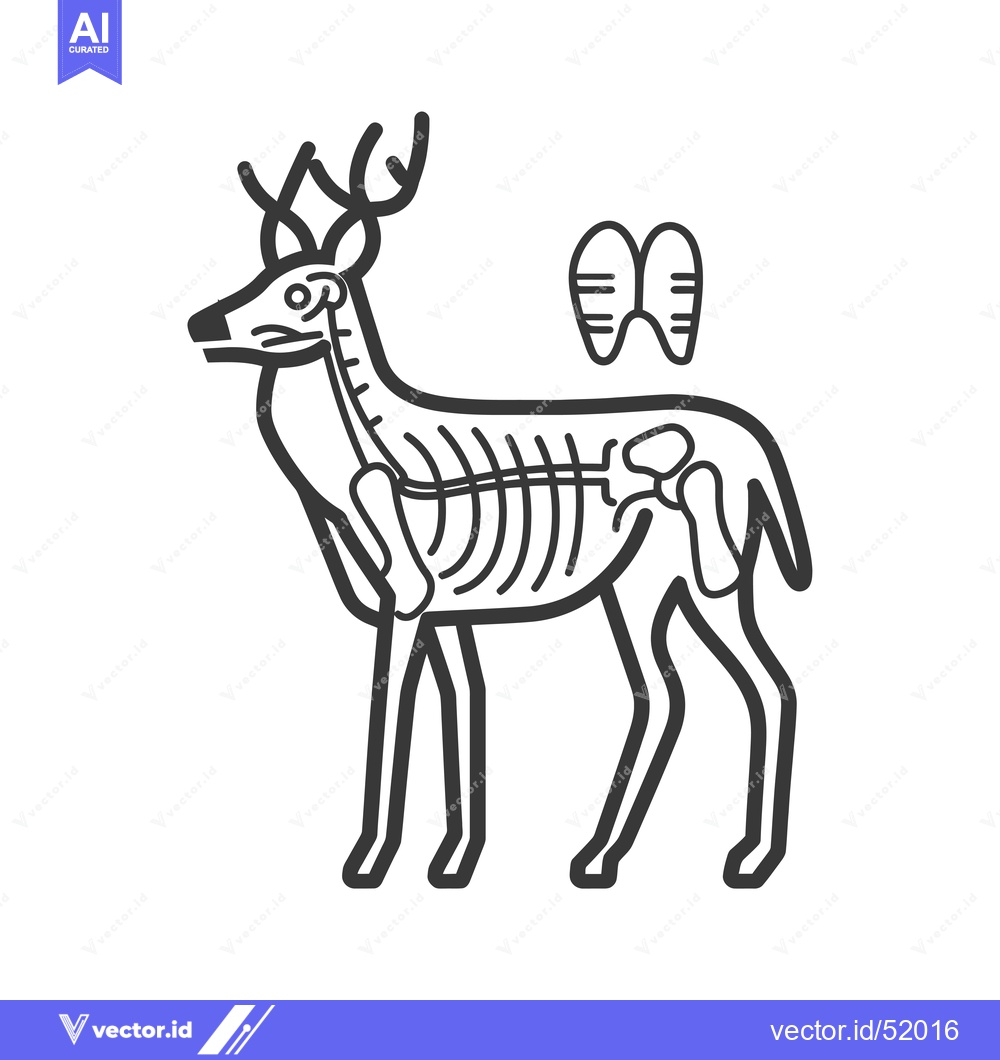 Premium Vector dari Line Art Illustration of a Deer with Internal Anatomy Visible