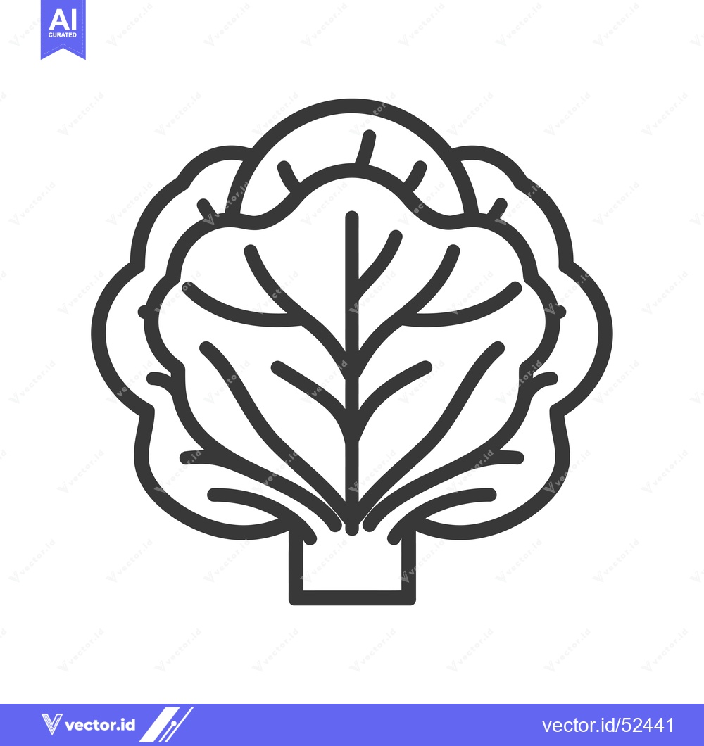 Premium Vector dari Line art illustration of a head of cabbage