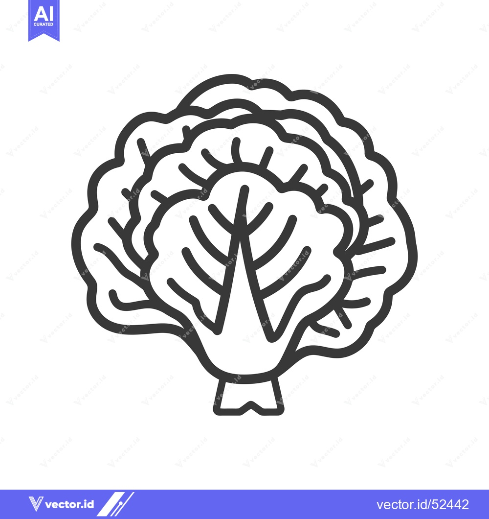 Premium Vector dari Line Art Illustration of a Head of Cabbage