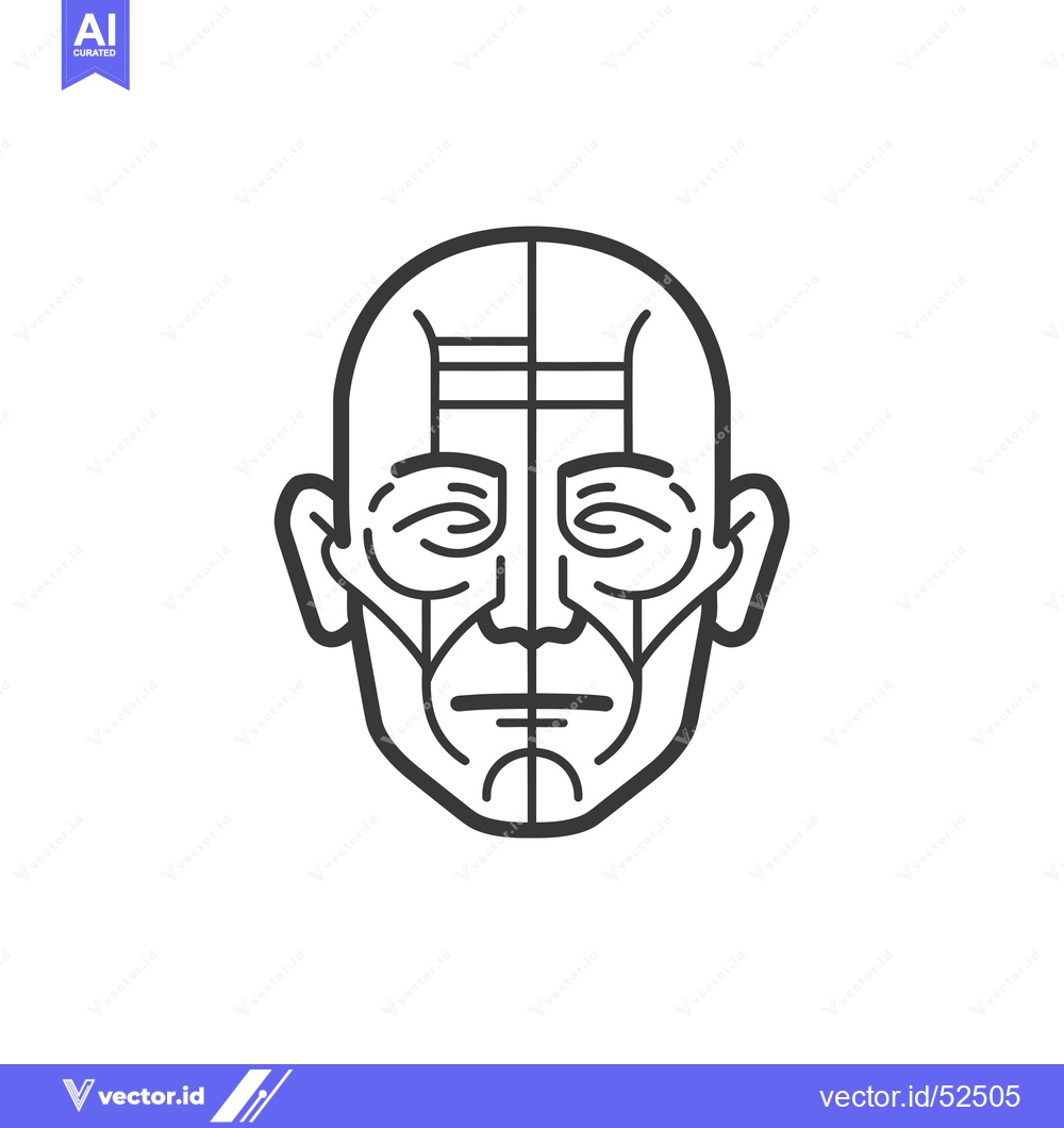 Premium Vector dari Line Art Illustration of a Human Face with Detailed Muscle Structure