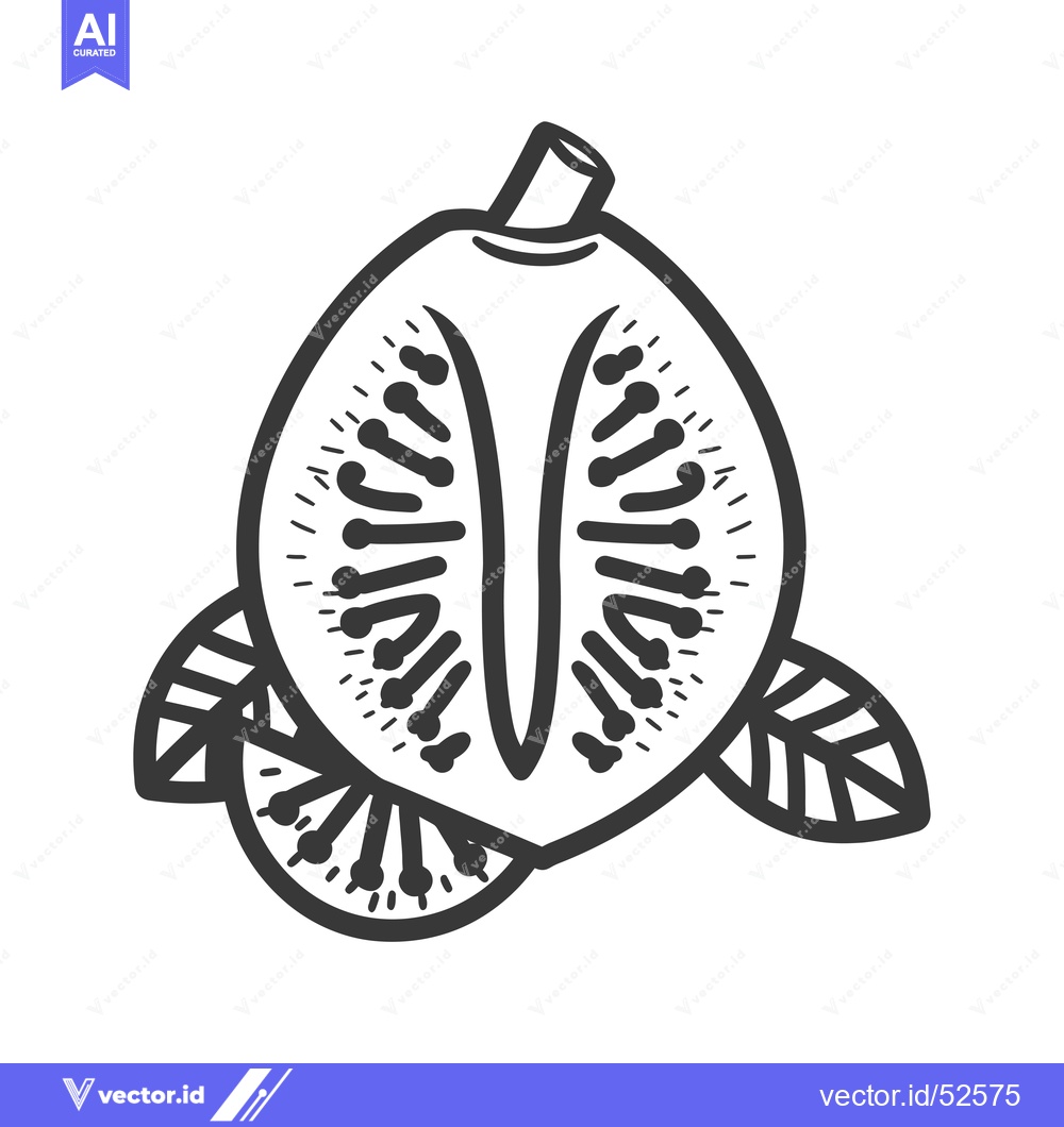 Premium Vector of Line art illustration of a kiwi fruit with leaves