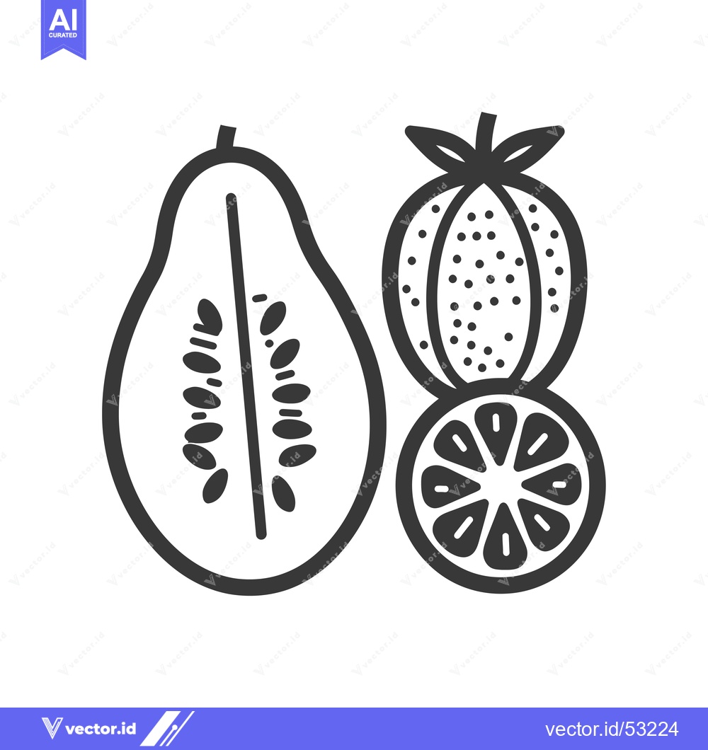 Premium Vector of Line Art Illustration of a Papaya and an Orange