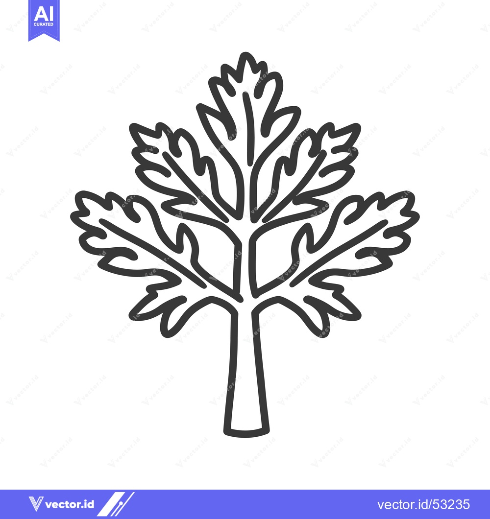 Premium Vector of Line Art Illustration of a Parsley Sprig
