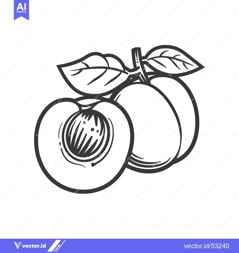 Premium Vector dari Line Art Illustration of a Peach with a Leaf