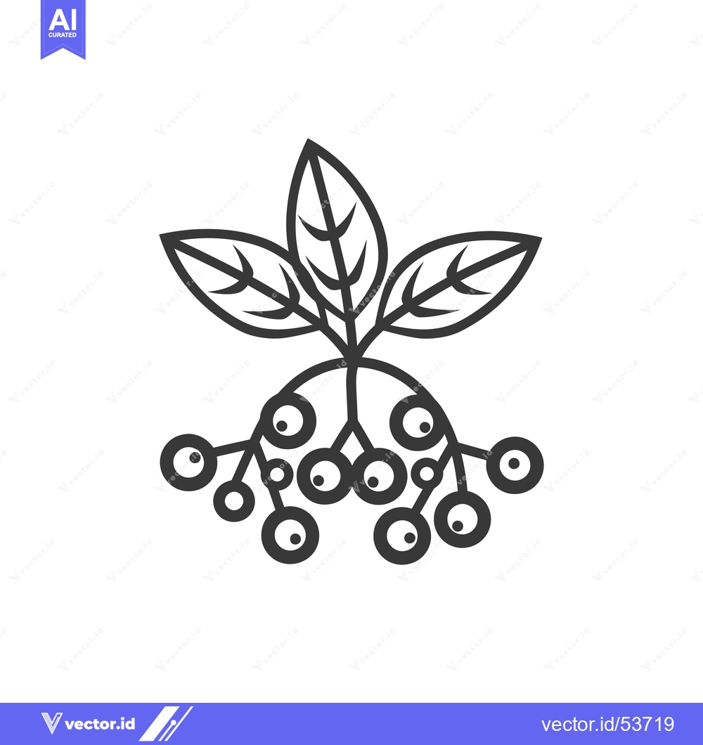 Premium Vector dari Line Art Illustration of a Plant with Three Leaves and Berries
