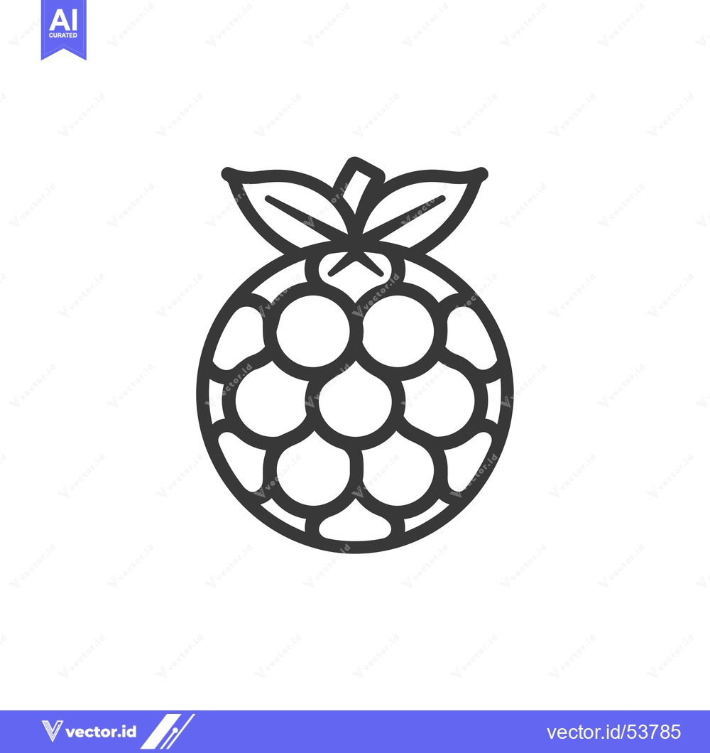 Premium Vector of Line Art Illustration of a Raspberry with Green Leaves