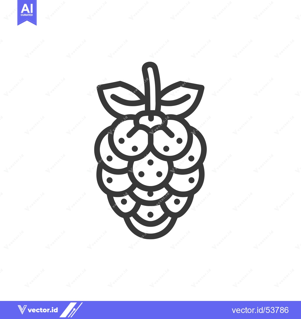 Premium Vector dari Line art illustration of a raspberry with leaves