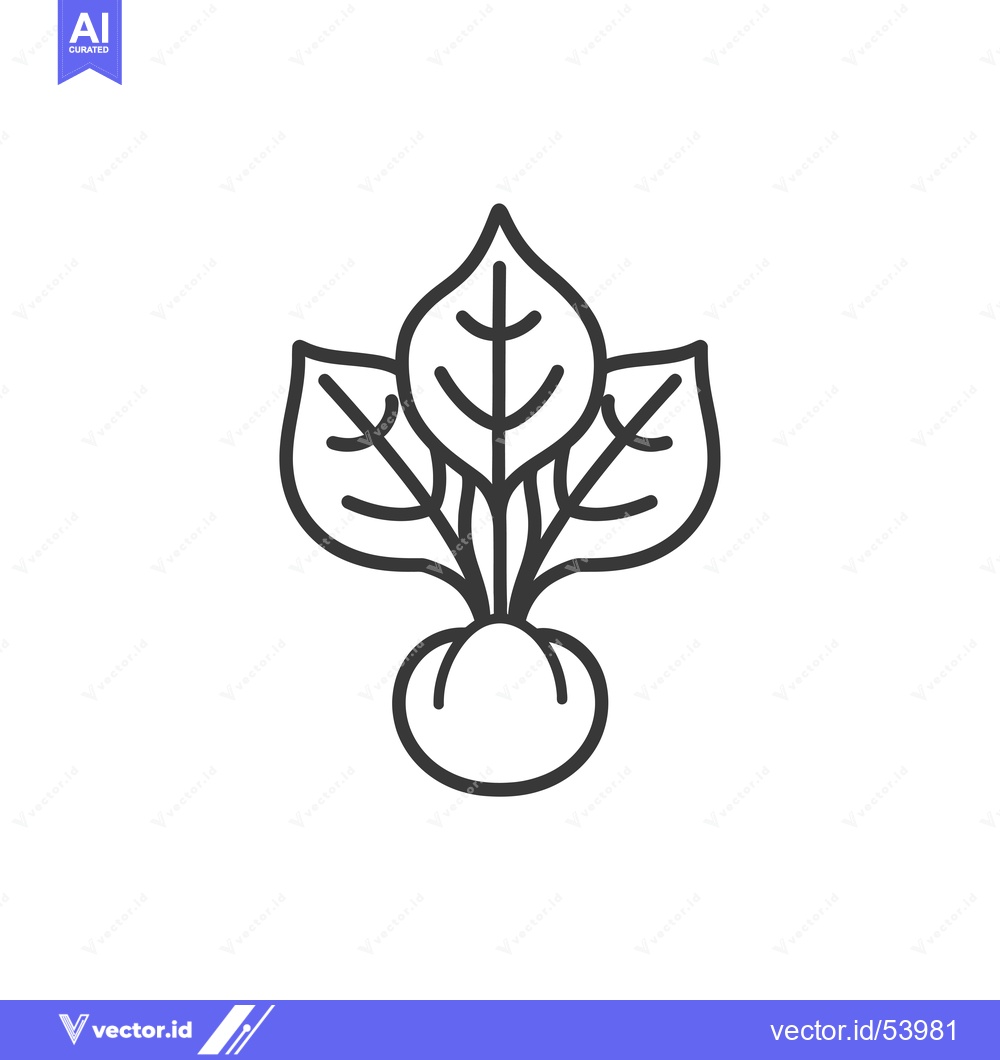 Premium Vector dari Line Art Illustration of a Single Beetroot with Leaves