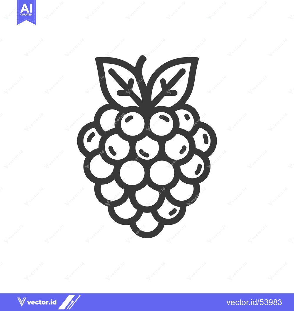 Premium Vector of Line Art Illustration of a Single Blackberry