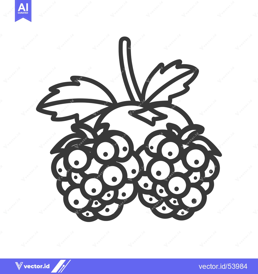 Premium Vector of Line Art Illustration of a Single Blackberry with Leaves