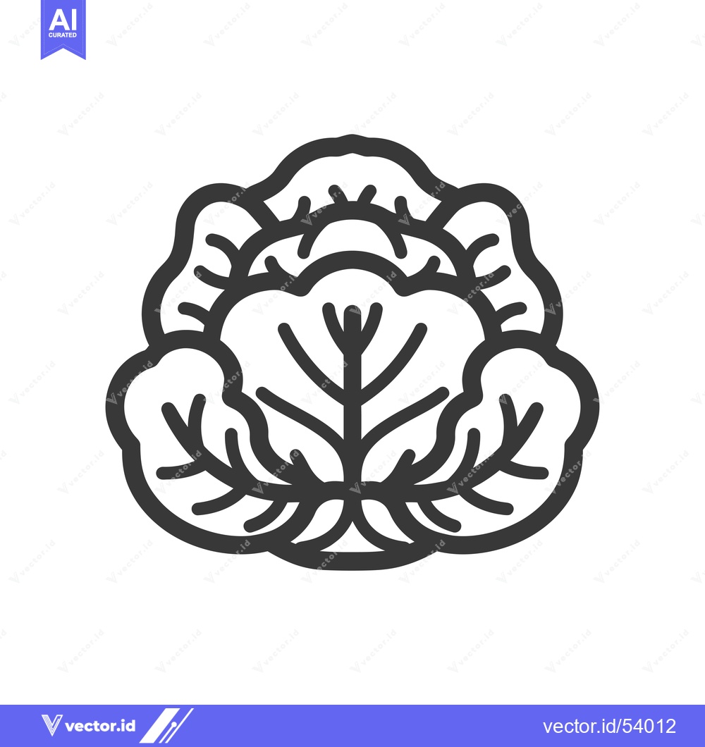Premium Vector dari Line Art Illustration of a Single Head of Cabbage
