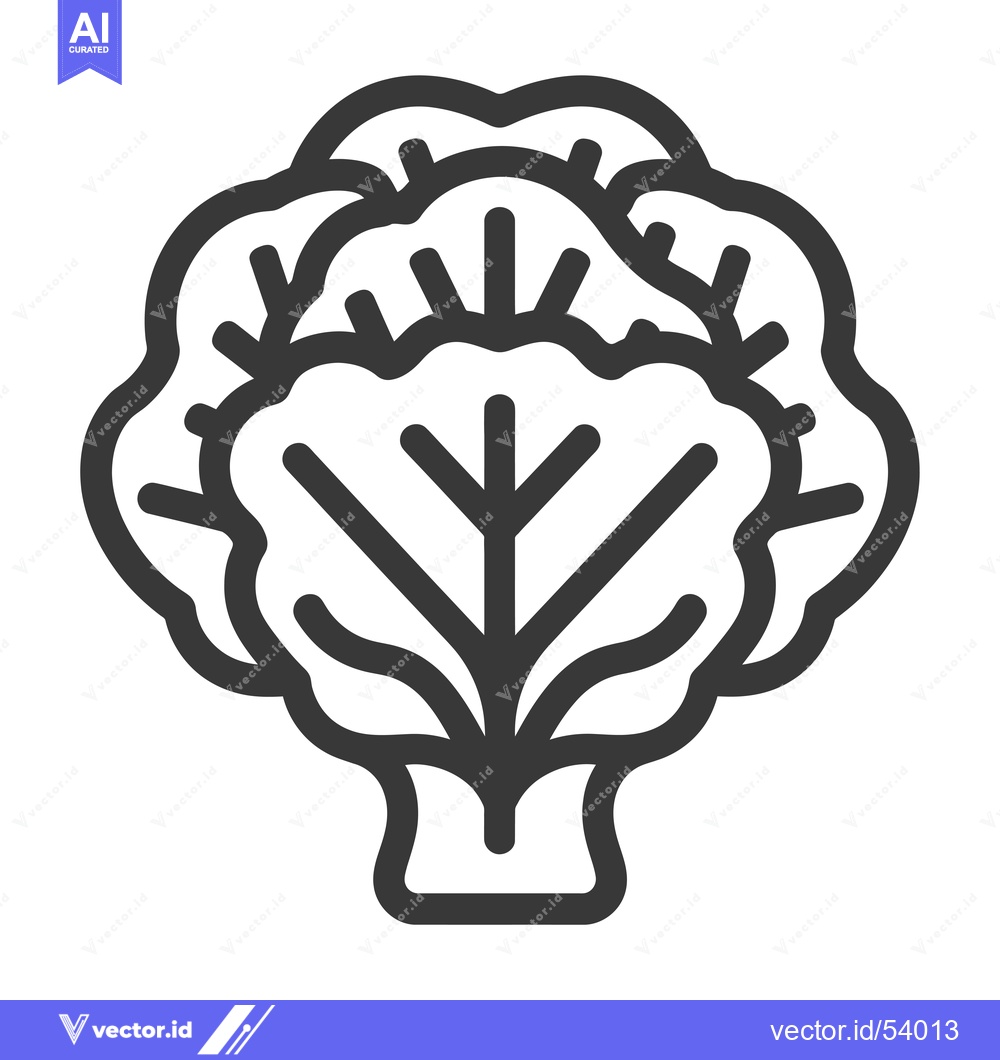 Premium Vector dari Line Art Illustration of a Single Head of Cabbage