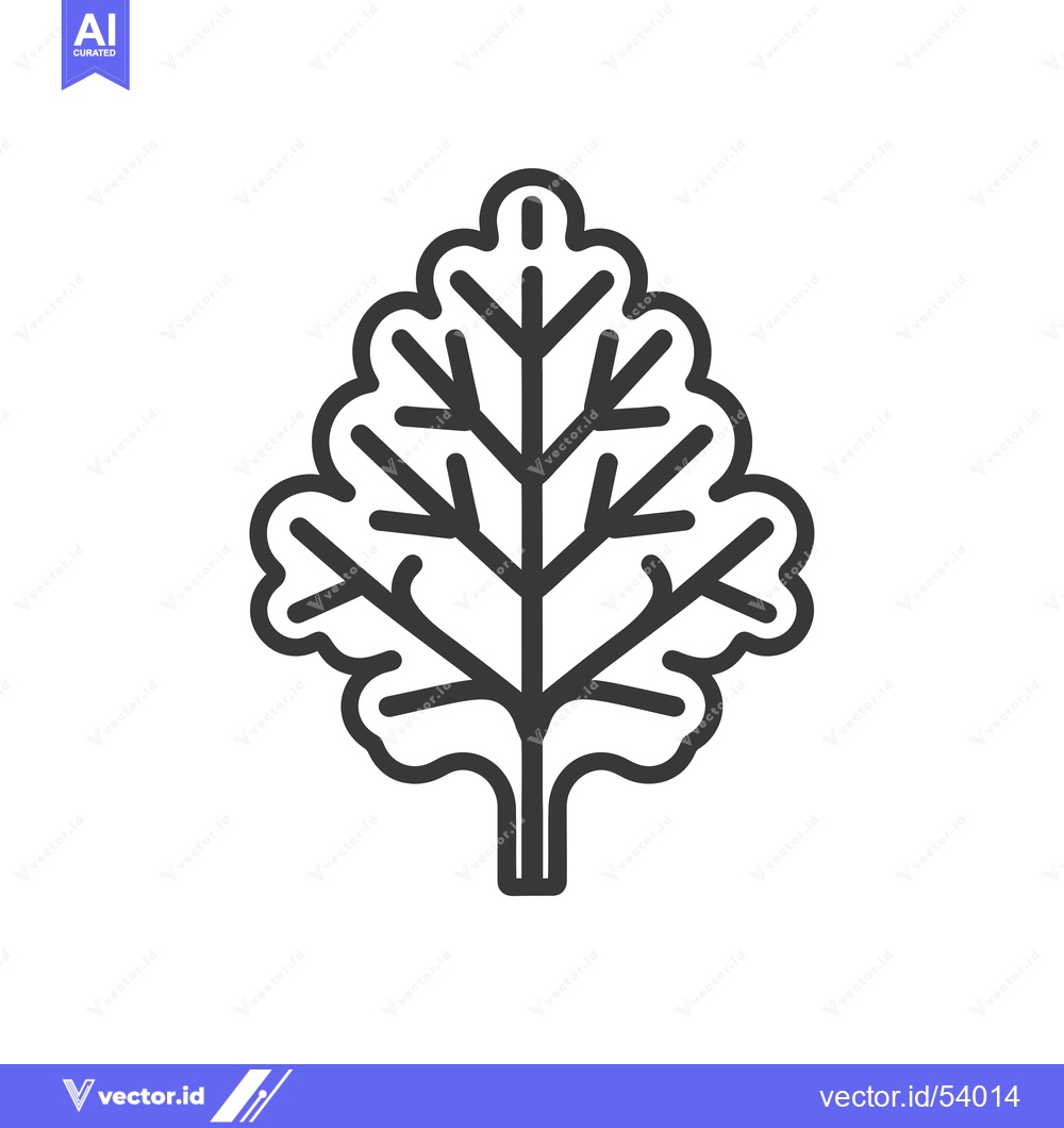 Premium Vector of Line art illustration of a single kale leaf