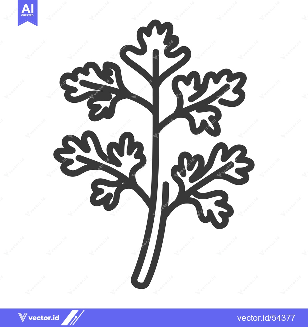 Premium Vector of Line Art Illustration of a Sprig of Parsley